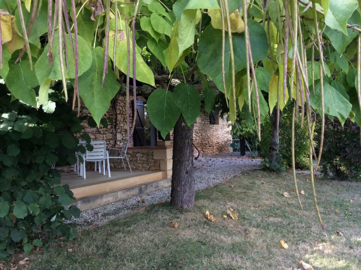 Vila Domaine De Manilau Le Buisson-de-Cadouin Exteriér fotografie